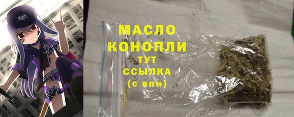 стаф Верея