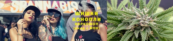 стаф Верея