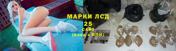 стаф Верея