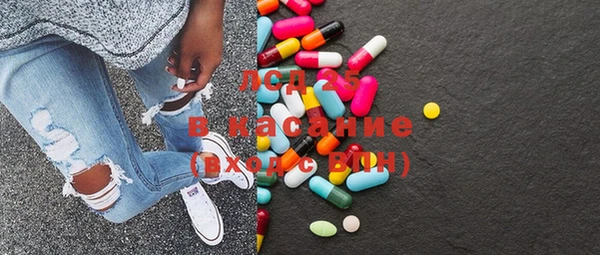стаф Верея