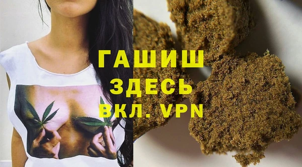 бошки Бородино